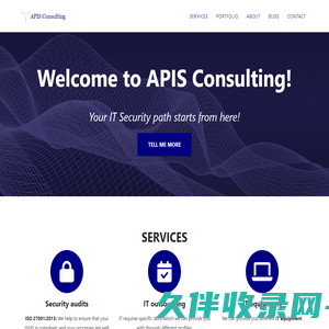 上海安匹思信息技术有限公司 - APIS Consulting